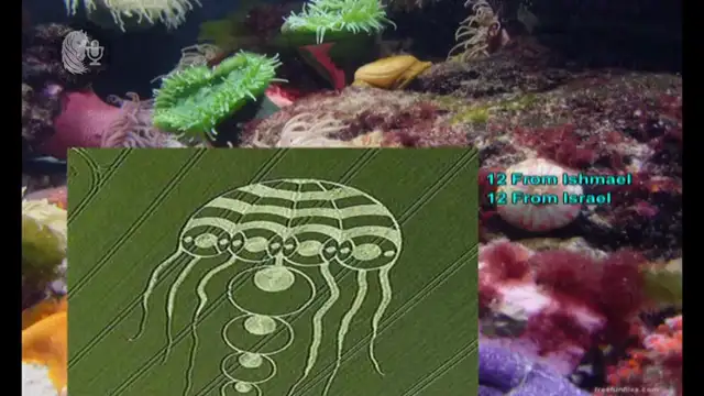 The story of Jonah confirmed by Jesus  Matthew 12:39