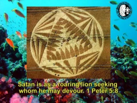 You cannot Change the Nature of a Shark !!